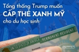 Tổng thống Trump muốn tạo điều kiện cho du học sinh Mỹ xin Thẻ xanh